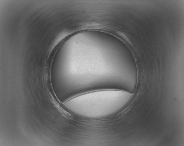 X0000081421458200701120932
