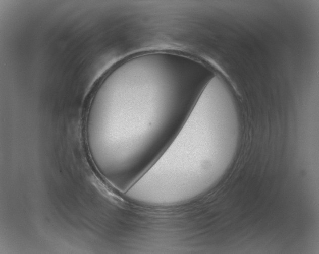X0000081421460200701120932
