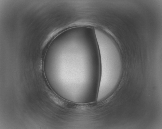 X0000081421461200701120931