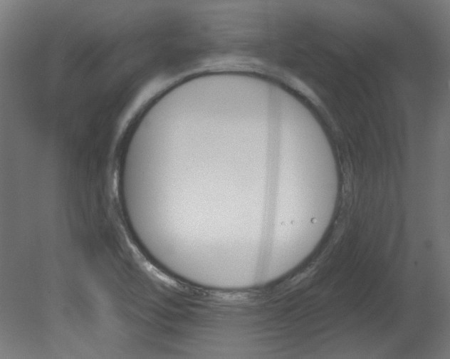 X0000081421462200701120931