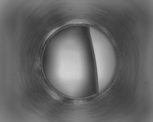 X0000081421465200701120931
