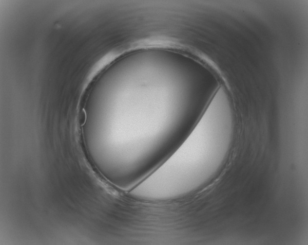 X0000081421469200701120931