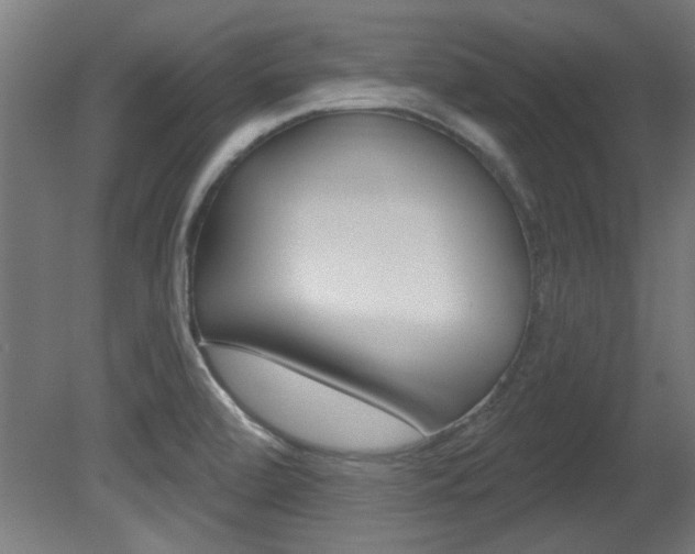 X0000081421472200701120931