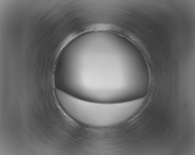 X0000081421473200701120931