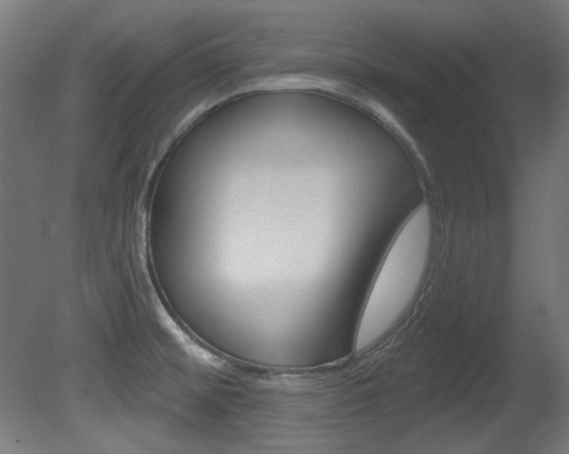 X0000081421476200701120931