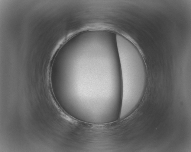 X0000081421477200701120931