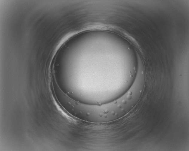 X0000081421479200701120931