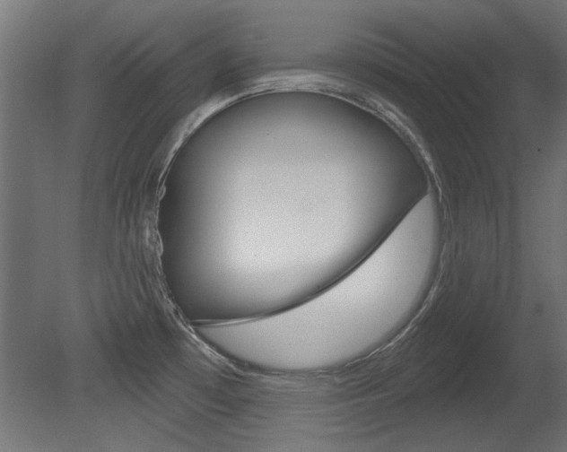 X0000081421481200701120931