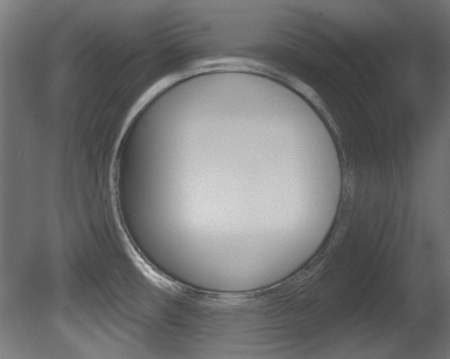 X0000081421482200701120931