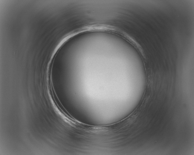 X0000081421483200701120931
