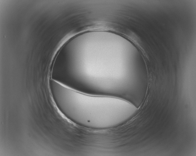 X0000081421484200701120931