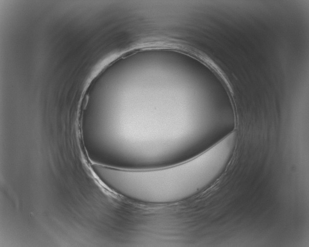 X0000081421485200701120931