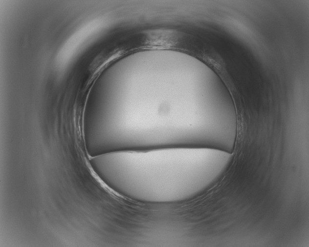 X0000081421487200701120931