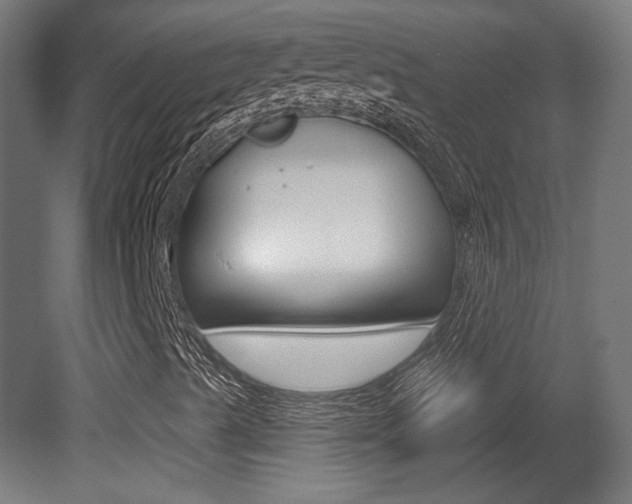 X0000081421489200701120930