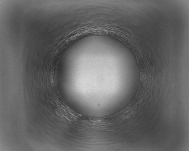 X0000081421490200701120930