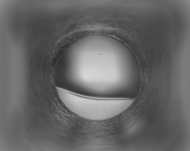 X0000081421493200701120930
