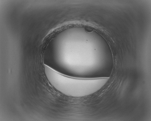 X0000081421494200701120930
