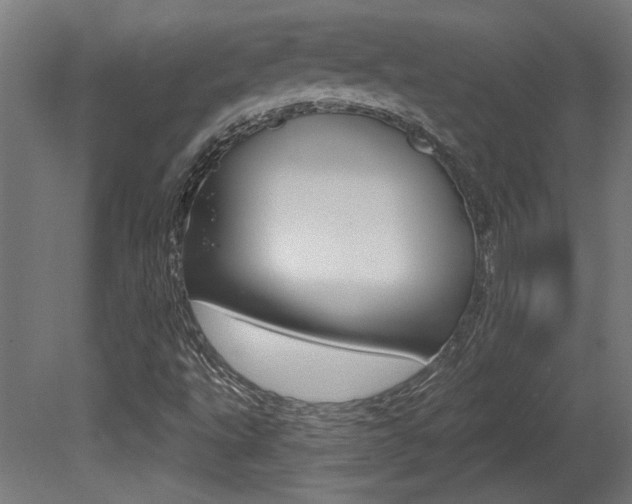 X0000081421495200701120930