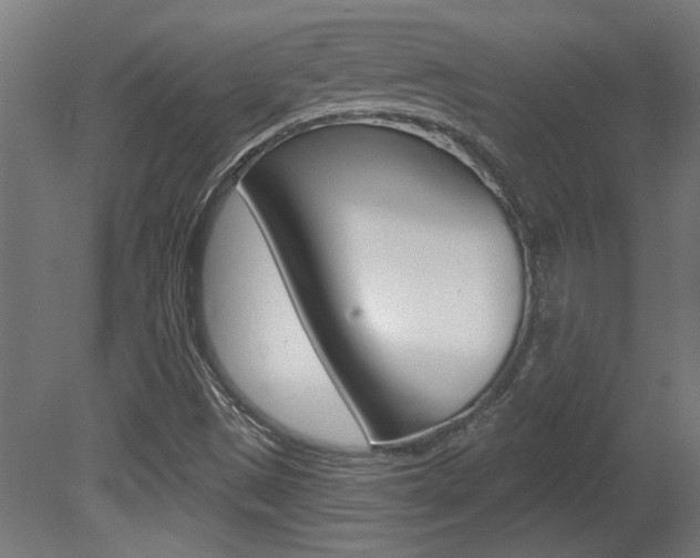 X0000081421497200701120930