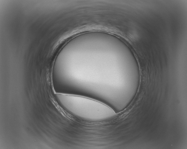 X0000081421499200701120930