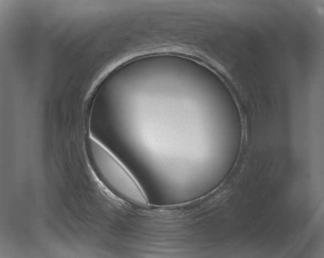 X0000081421500200701120930