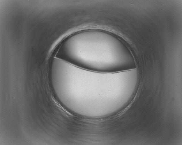 X0000081421502200701120930