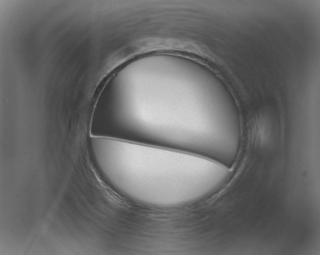 X0000081421505200701120930