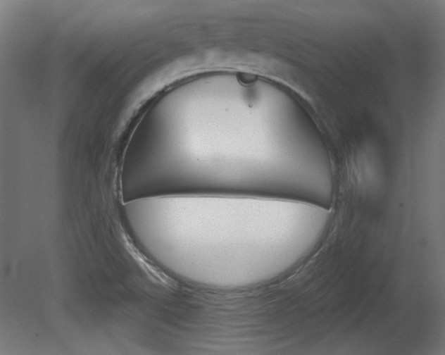 X0000081421507200701120931