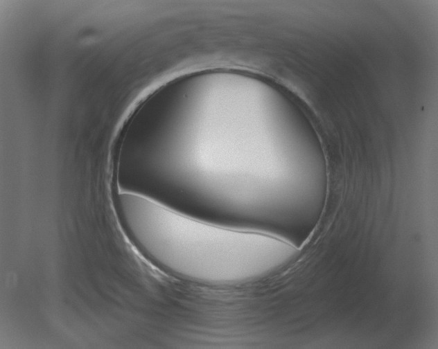 X0000081421508200701120931