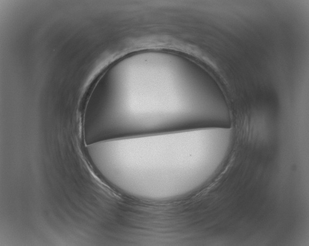 X0000081421509200701120931