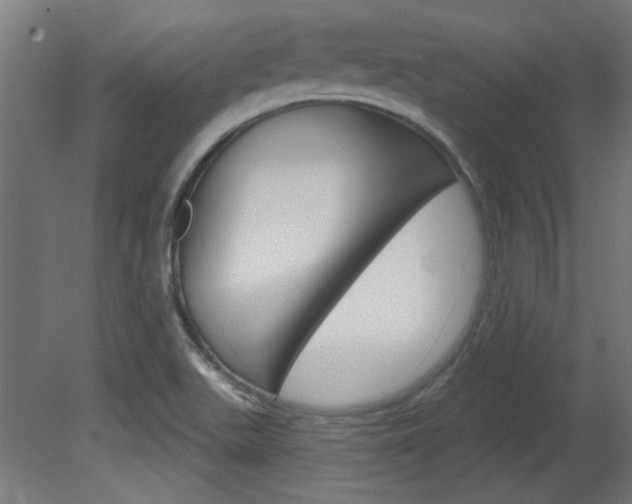 X0000081421511200701120931