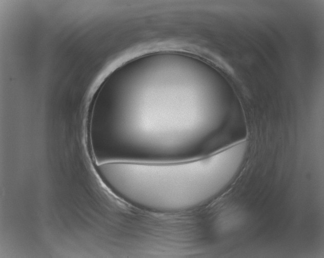 X0000081421512200701120931