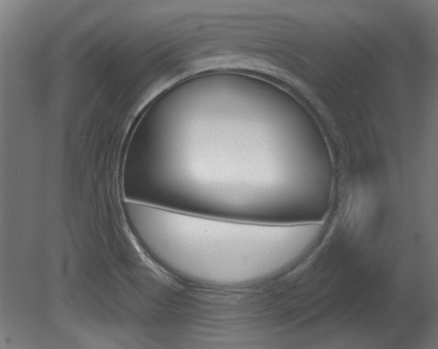 X0000081421513200701120931