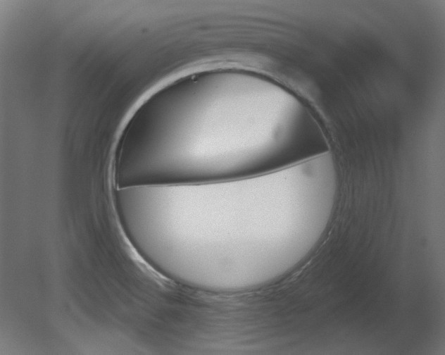 X0000081421516200701120931