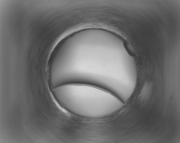 X0000081421519200701120931