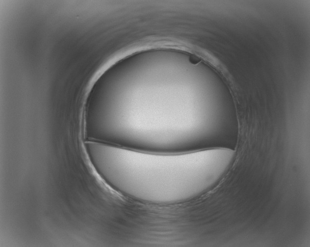 X0000081421520200701120931
