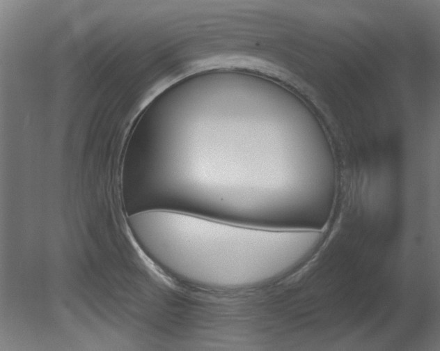 X0000081421521200701120931