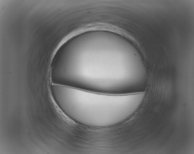 X0000081421522200701120931