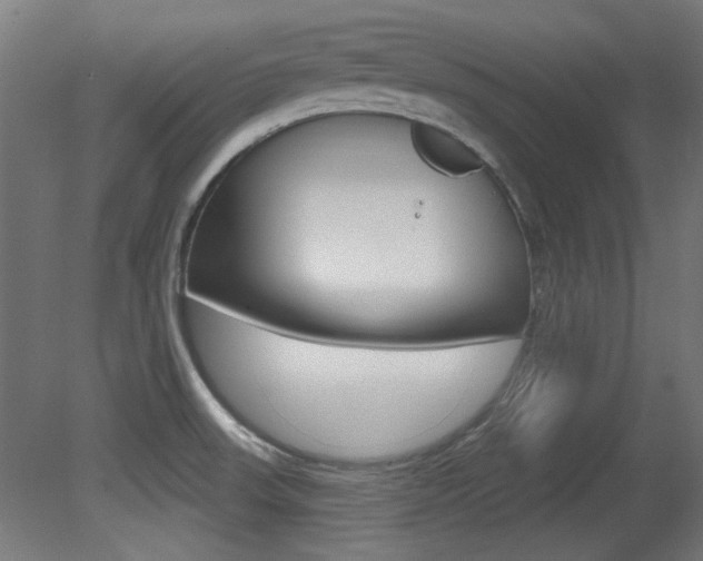 X0000081421523200701120931