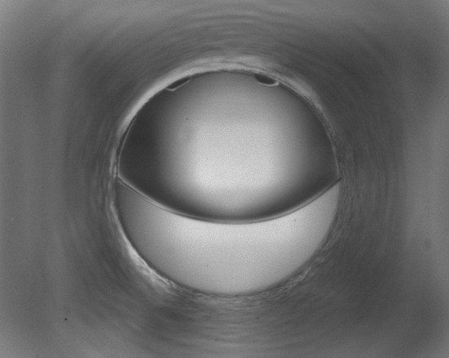 X0000081421524200701120931