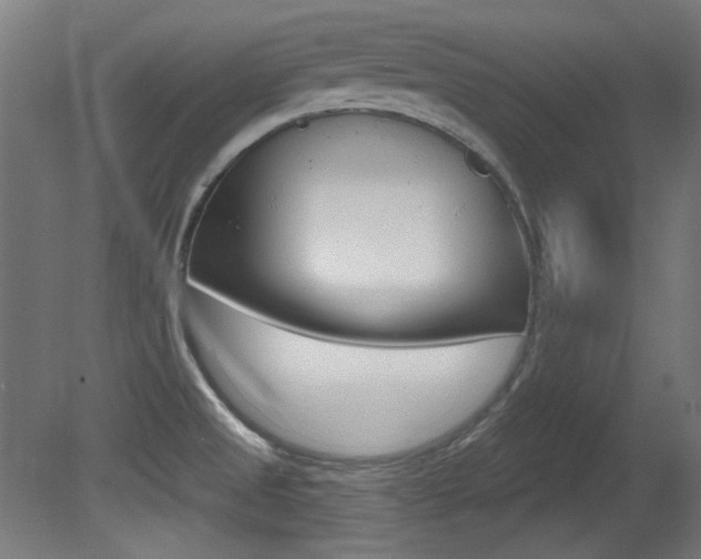 X0000081421525200701120931