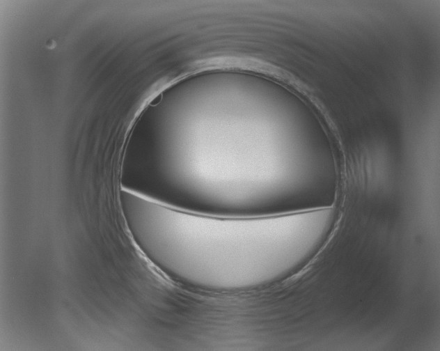 X0000081421529200701120931