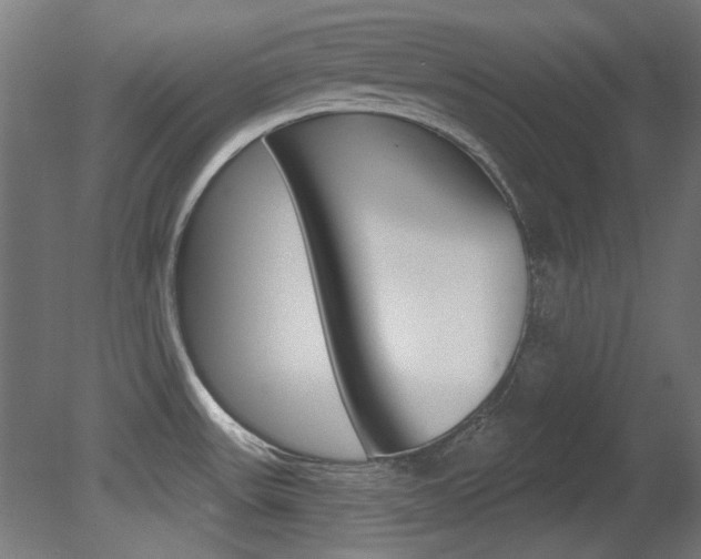 X0000081421531200701120931