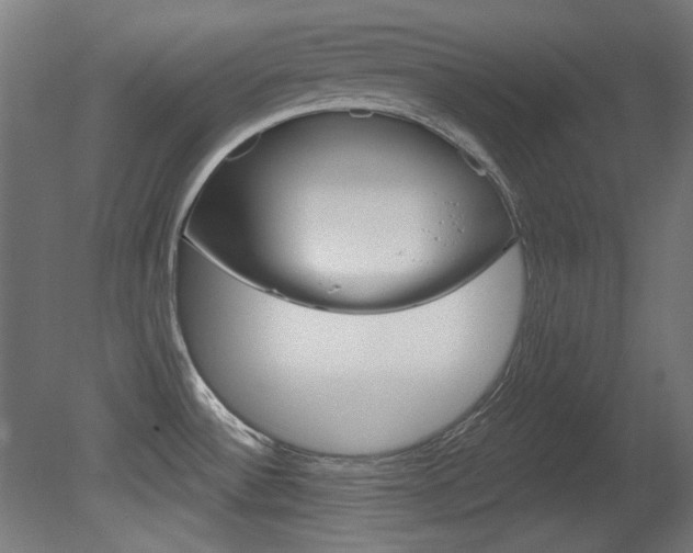 X0000081421532200701120931