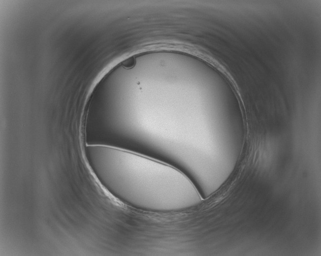 X0000081421533200701120931