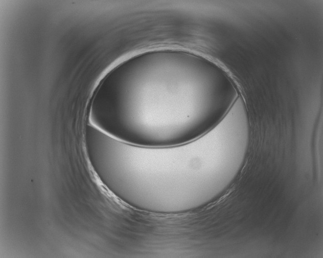 X0000081421534200701120931