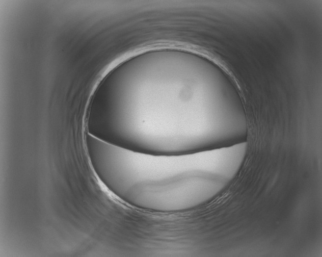 X0000081421535200701120931