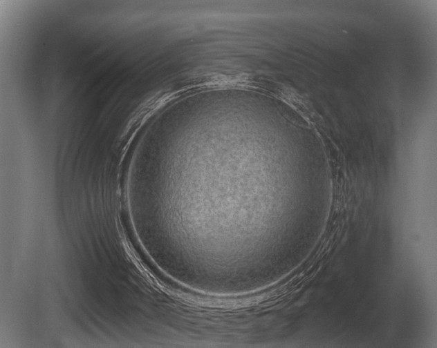 X0000081420002200701121248