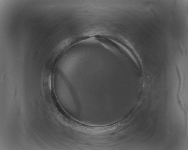 X0000081420019200701121248