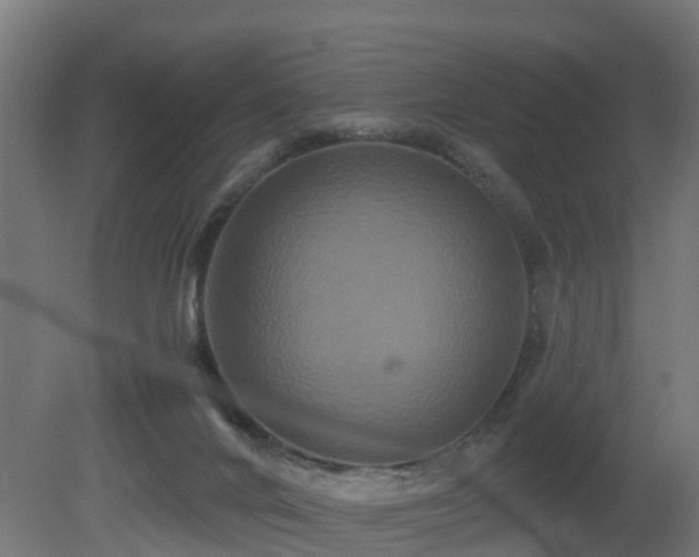 X0000081420024200701121247